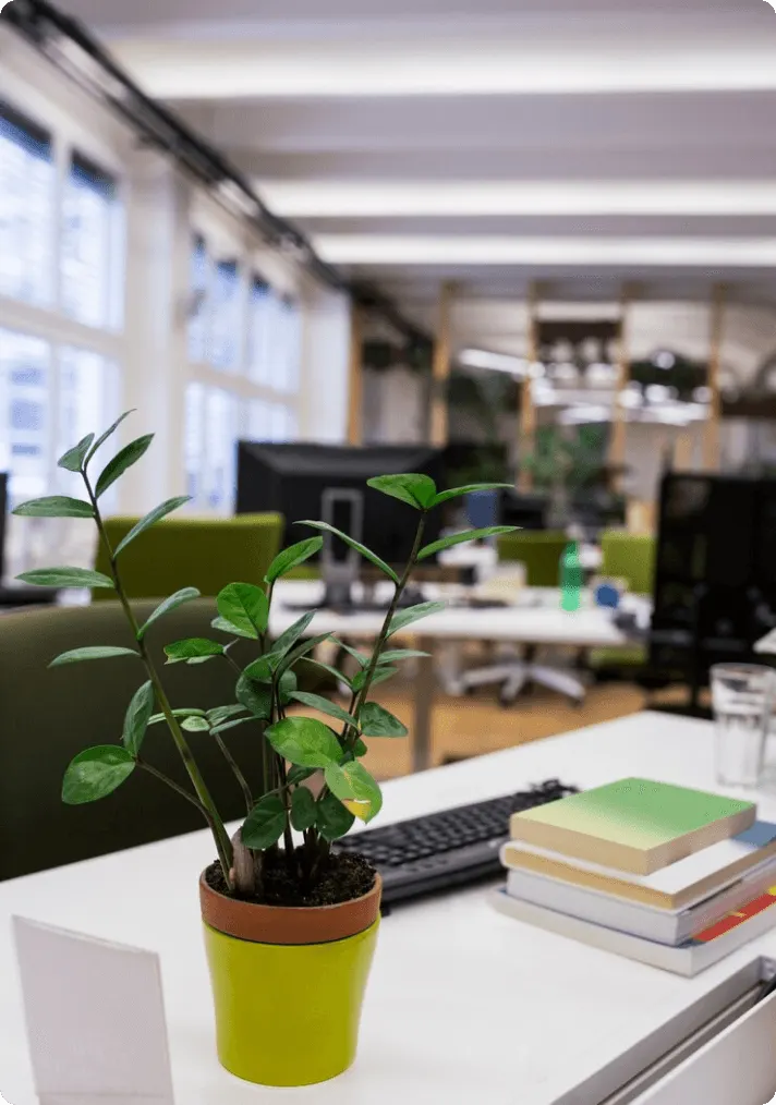 Poste de travail et plante verte dans nos bureaux